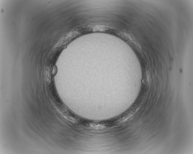 X0000085820311200704091639