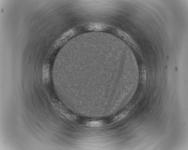 X0000085820312200704091639