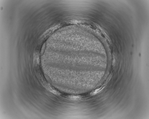 X0000085820313200704091639