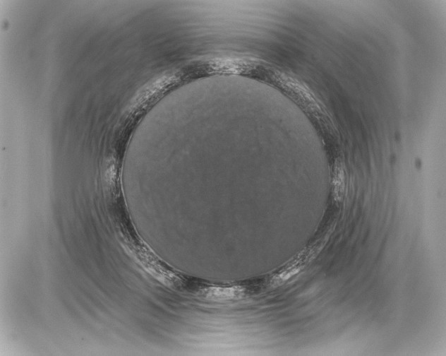 X0000085820314200704091639