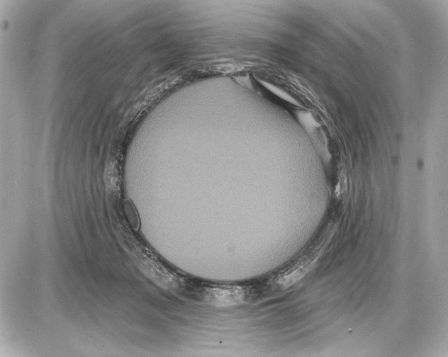 X0000085820317200704091639