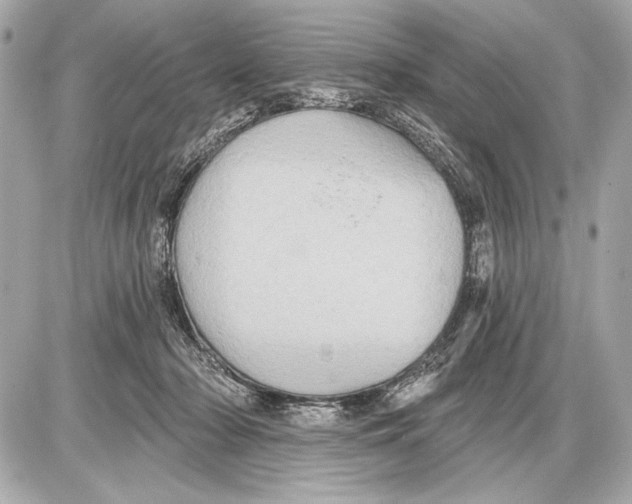 X0000085820318200704091639