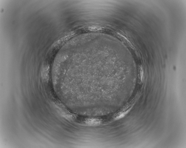 X0000085820319200704091639