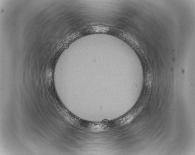 X0000085820321200704091639