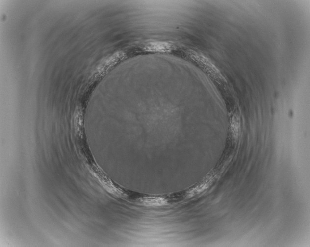 X0000085820322200704091639