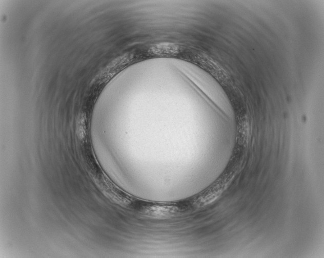 X0000085820323200704091639