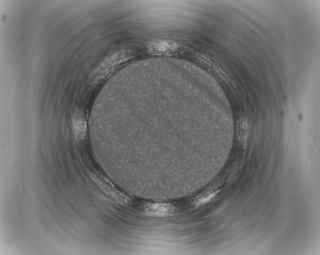 X0000085820324200704091639