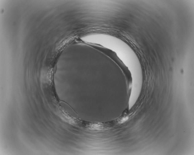 X0000085820325200704091639