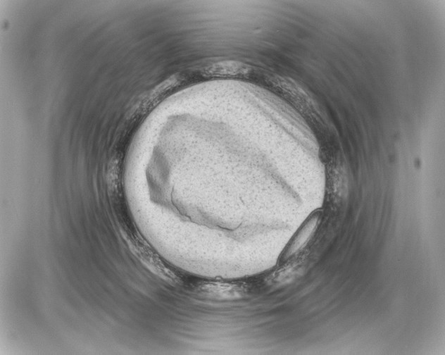 X0000085820326200704091639