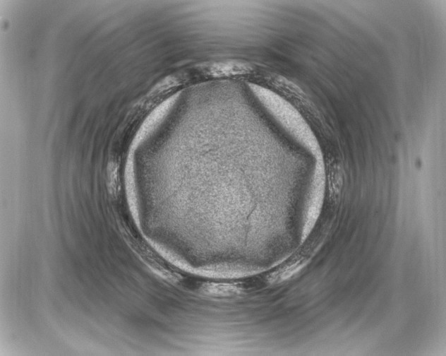 X0000085820327200704091639