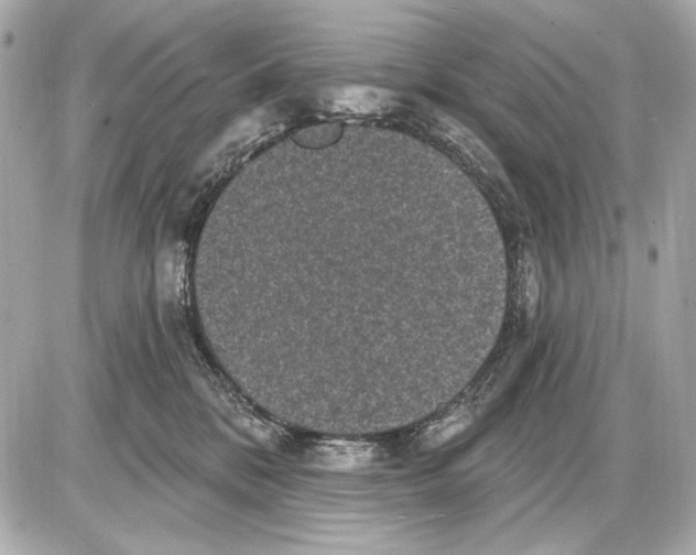 X0000085820328200704091639