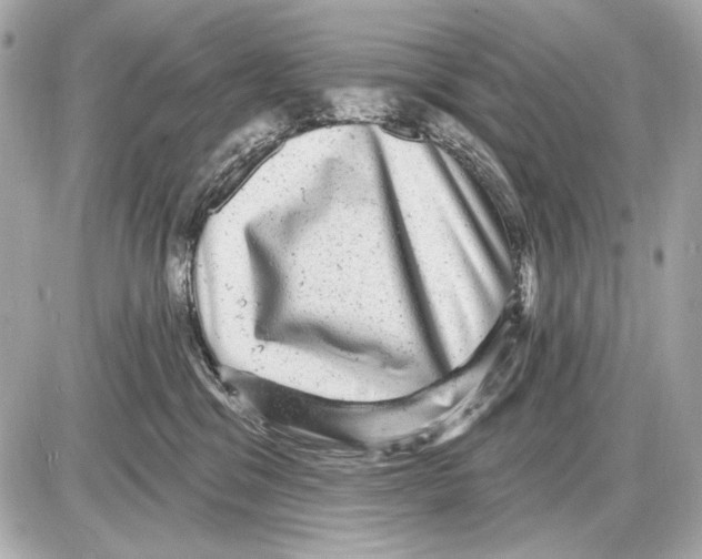 X0000085820329200704091639