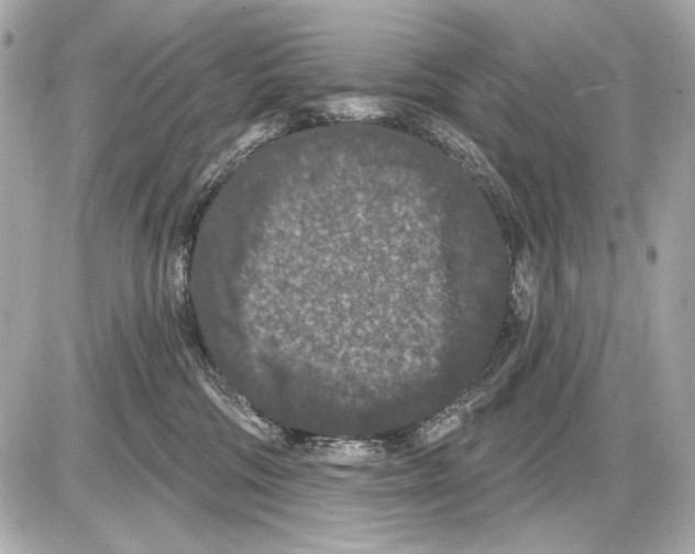 X0000085820330200704091639