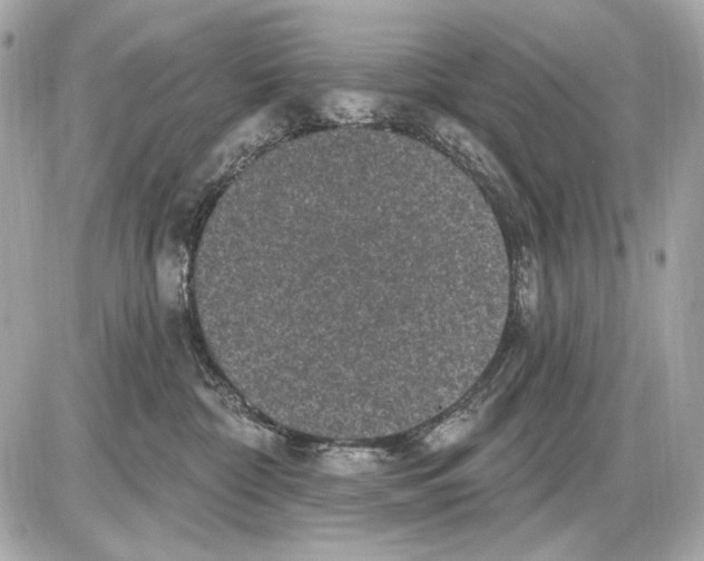 X0000085820332200704091639