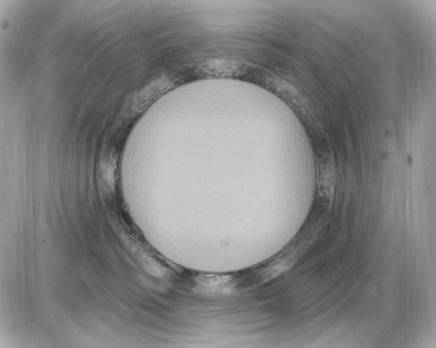 X0000085820334200704091638