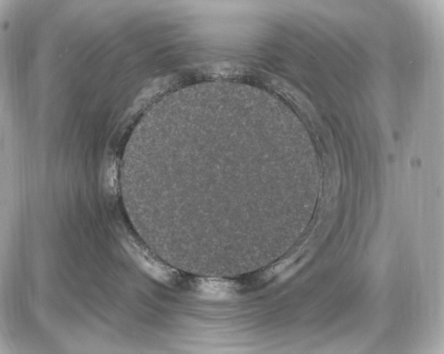 X0000085820336200704091638