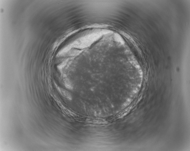 X0000085820337200704091638