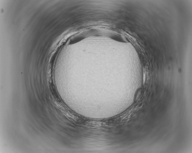 X0000085820339200704091638