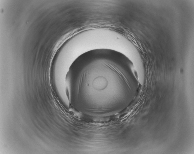 X0000085820340200704091638