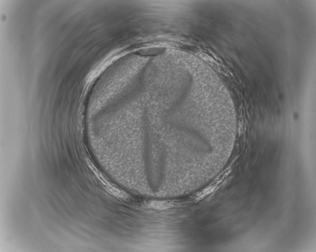 X0000085820341200704091638