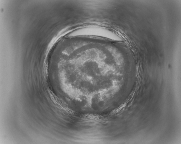 X0000085820343200704091638