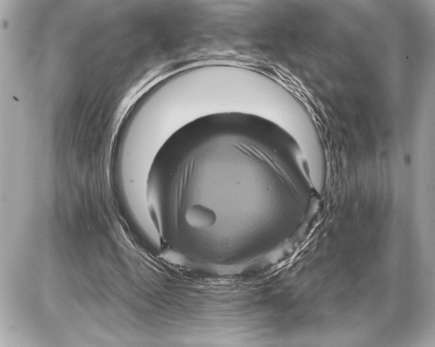 X0000085820344200704091638