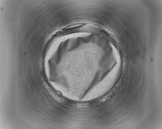 X0000085820345200704091638