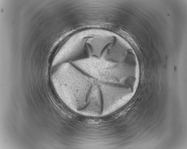 X0000085820346200704091638