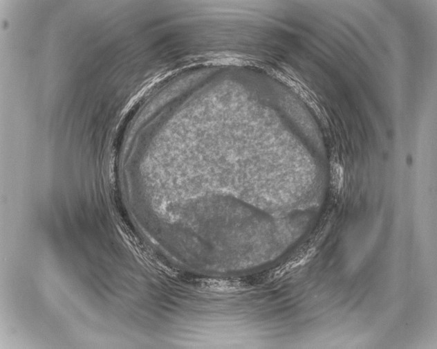 X0000085820347200704091638