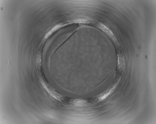 X0000085820348200704091638