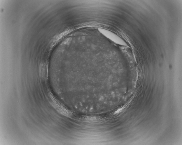 X0000085820349200704091638