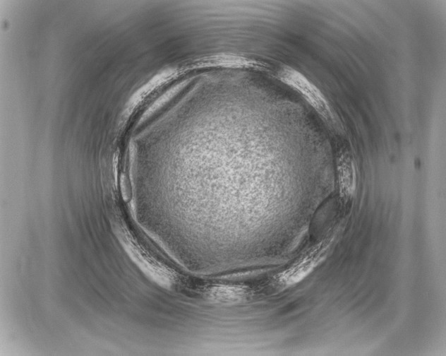 X0000085820350200704091638