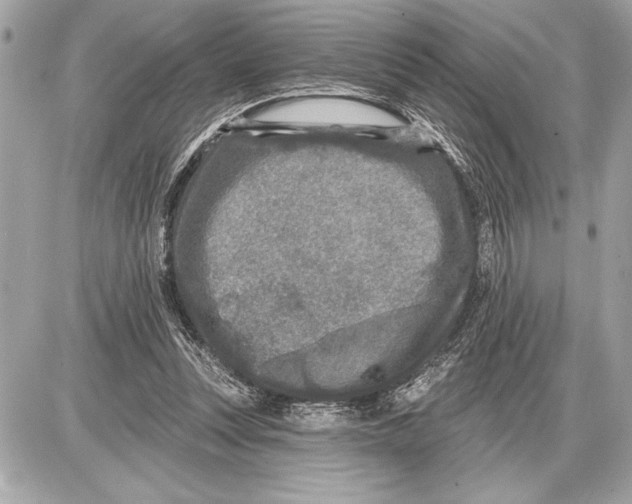 X0000085820351200704091638