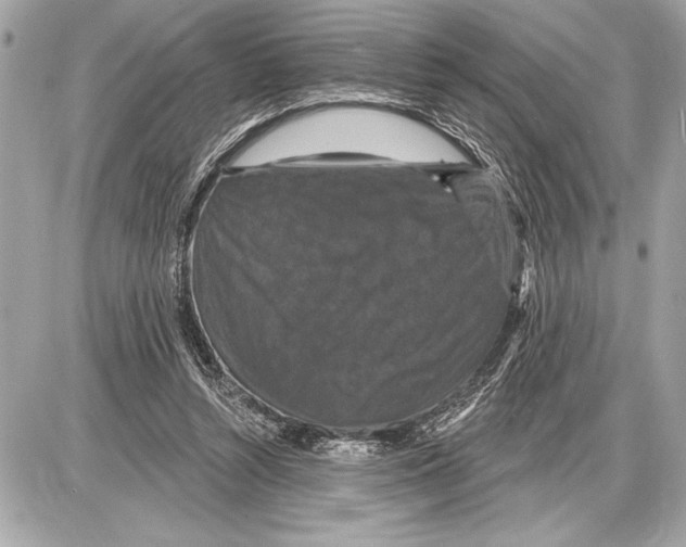 X0000085820352200704091638