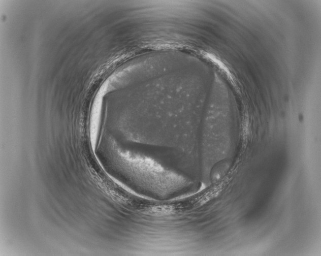 X0000085820353200704091638