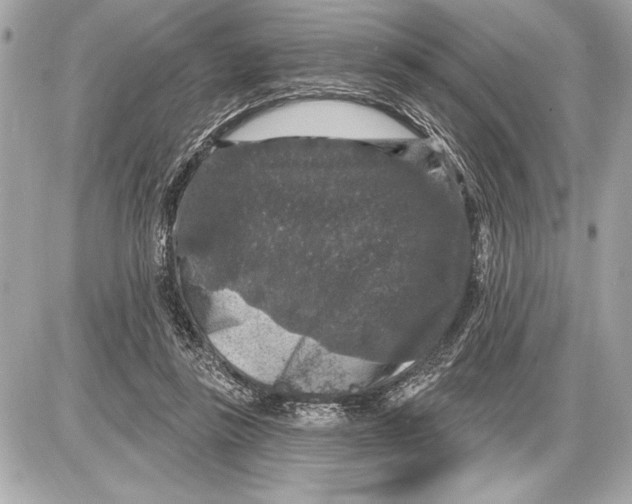 X0000085820355200704091638