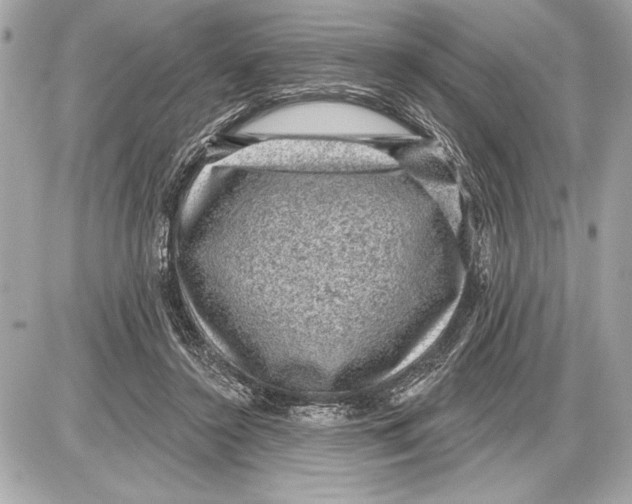 X0000085820356200704091638