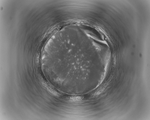 X0000085820357200704091638