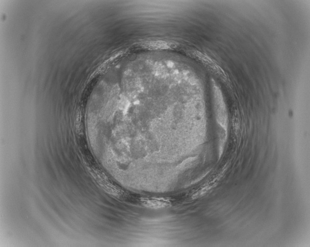 X0000085820359200704091638