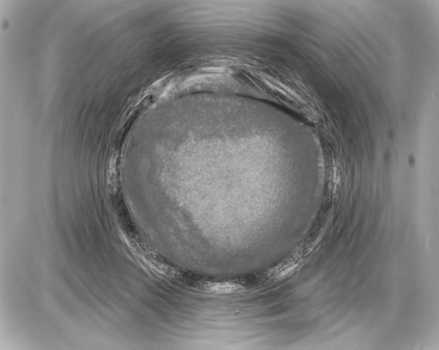 X0000085820360200704091638