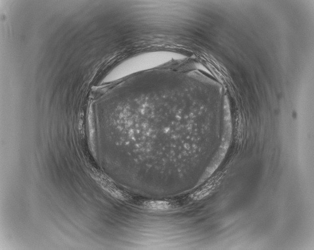 X0000085820361200704091638