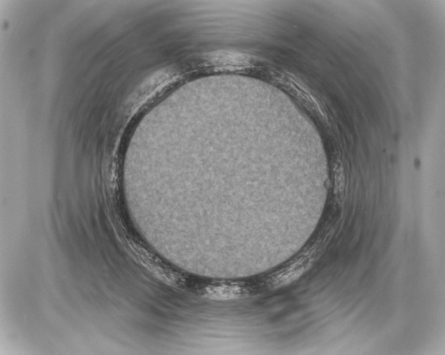 X0000085820362200704091638