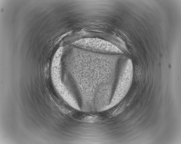 X0000085820364200704091638