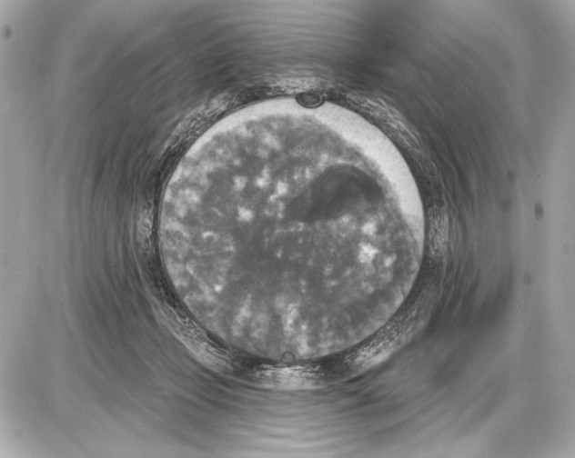 X0000085820365200704091638