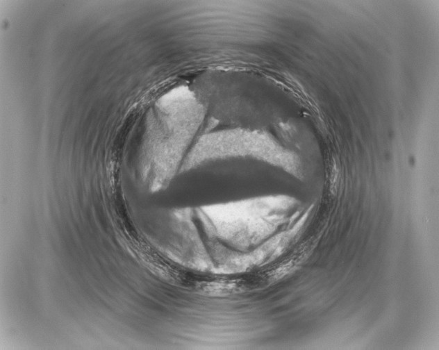 X0000085820366200704091638