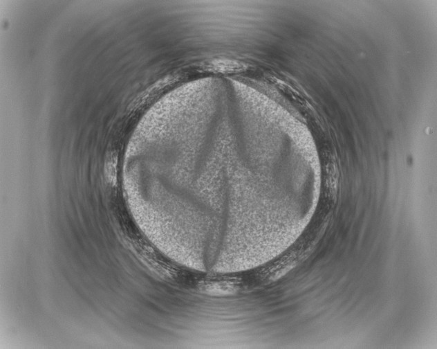 X0000085820368200704091638