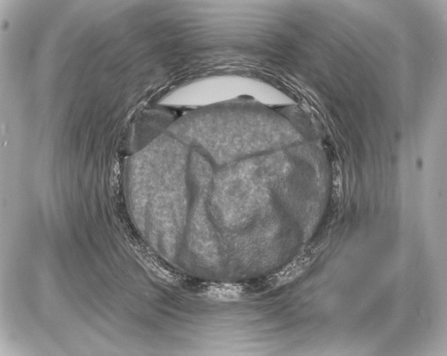 X0000085820369200704091638