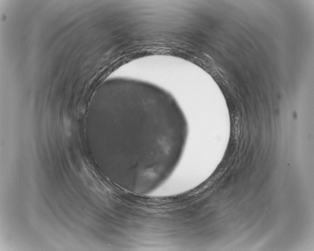 X0000085820370200704091638