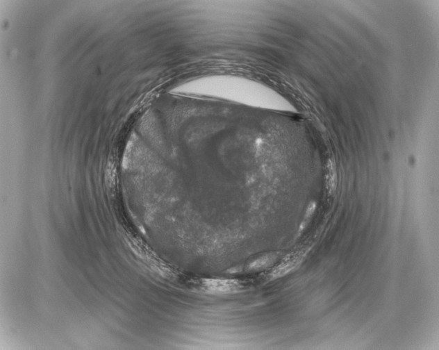 X0000085820371200704091638