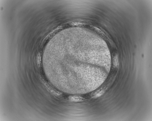 X0000085820372200704091638